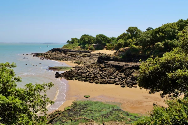 Ile d'Aix à visiter