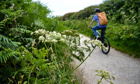 pistes cyclables marans